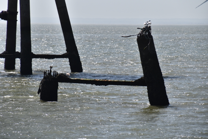 Gun Tower 2 leg stumps